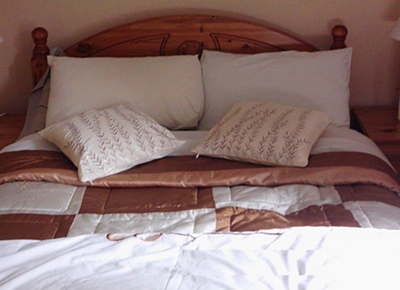 Cloncarlin House Bed and Breakfast Monasterevin Buitenkant foto